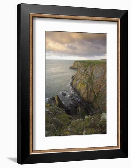 Mull of Galloway, Rhins of Galloway, Dumfries and Galloway, Scotland, UK-Gary Cook-Framed Photographic Print