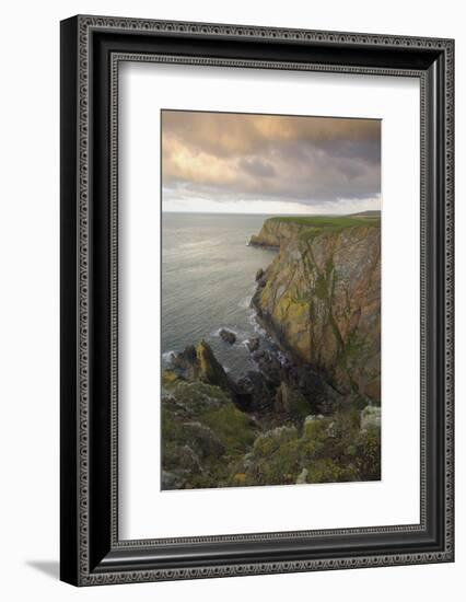 Mull of Galloway, Rhins of Galloway, Dumfries and Galloway, Scotland, UK-Gary Cook-Framed Photographic Print
