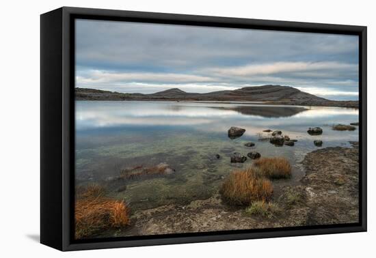 Mullagh More, The Burren, County Clare, Munster, Republic of Ireland-Carsten Krieger-Framed Premier Image Canvas