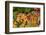 Muller Thurgau Grapes in Eastern Yakima Valley, Washington, USA-Richard Duval-Framed Photographic Print