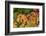 Muller Thurgau Grapes in Eastern Yakima Valley, Washington, USA-Richard Duval-Framed Photographic Print