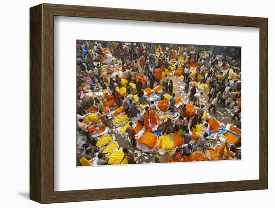 Mullik Ghat Flower Market, Kolkata (Calcutta), West Bengal, India, Asia-Bruno Morandi-Framed Photographic Print