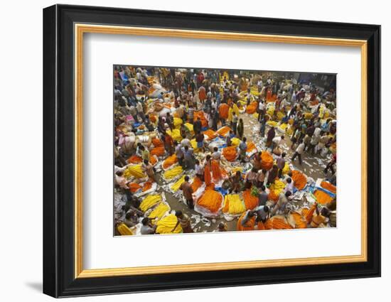 Mullik Ghat Flower Market, Kolkata (Calcutta), West Bengal, India, Asia-Bruno Morandi-Framed Photographic Print