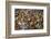 Mullik Ghat Flower Market, Kolkata (Calcutta), West Bengal, India, Asia-Bruno Morandi-Framed Photographic Print