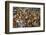 Mullik Ghat Flower Market, Kolkata (Calcutta), West Bengal, India, Asia-Bruno Morandi-Framed Photographic Print