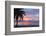 Mullins Beach, St. Peter, Barbados, West Indies, Caribbean, Central America-Frank Fell-Framed Photographic Print