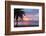 Mullins Beach, St. Peter, Barbados, West Indies, Caribbean, Central America-Frank Fell-Framed Photographic Print