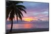 Mullins Beach, St. Peter, Barbados, West Indies, Caribbean, Central America-Frank Fell-Mounted Photographic Print