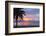 Mullins Beach, St. Peter, Barbados, West Indies, Caribbean, Central America-Frank Fell-Framed Photographic Print