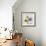 Multi Chrysanthemum-Albert Koetsier-Framed Art Print displayed on a wall