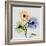 Multi Chrysanthemum-Albert Koetsier-Framed Art Print