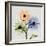 Multi Chrysanthemum-Albert Koetsier-Framed Art Print