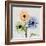 Multi Chrysanthemum-Albert Koetsier-Framed Art Print