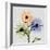 Multi Chrysanthemum-Albert Koetsier-Framed Art Print