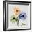 Multi Chrysanthemum-Albert Koetsier-Framed Art Print