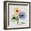 Multi Chrysanthemum-Albert Koetsier-Framed Art Print