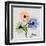 Multi Chrysanthemum-Albert Koetsier-Framed Art Print