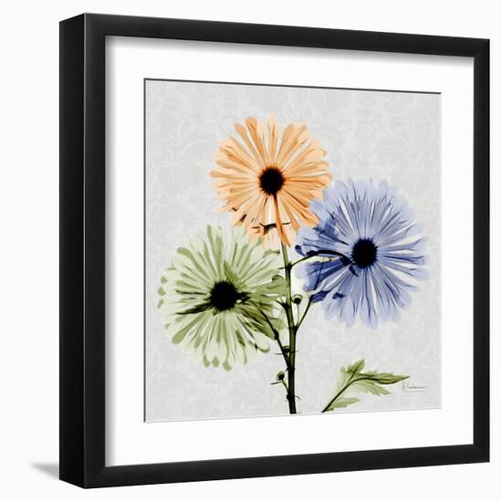 Multi Chrysanthemum-Albert Koetsier-Framed Art Print