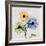 Multi Chrysanthemum-Albert Koetsier-Framed Premium Giclee Print