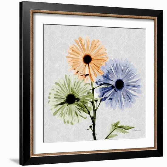 Multi Chrysanthemum-Albert Koetsier-Framed Premium Giclee Print