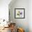 Multi Chrysanthemum-Albert Koetsier-Framed Premium Giclee Print displayed on a wall