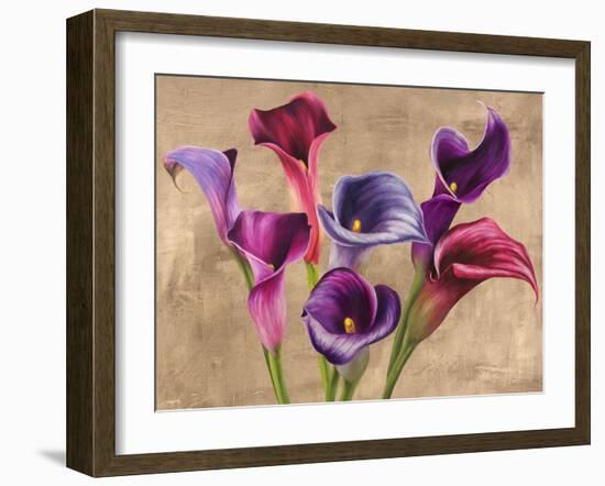 Multi-colored Callas-Jenny Thomlinson-Framed Giclee Print