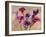 Multi-colored Callas-Jenny Thomlinson-Framed Giclee Print