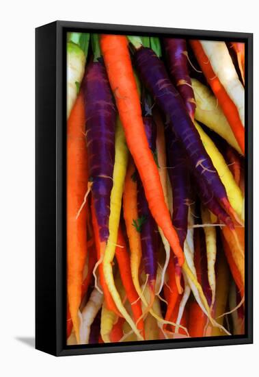 Multi Colored Carrots at a Farmer's Market in Savannah, Georgia, USA-Joanne Wells-Framed Premier Image Canvas