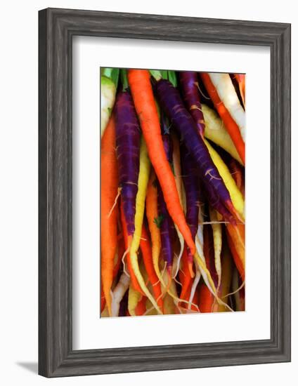 Multi Colored Carrots at a Farmer's Market in Savannah, Georgia, USA-Joanne Wells-Framed Photographic Print