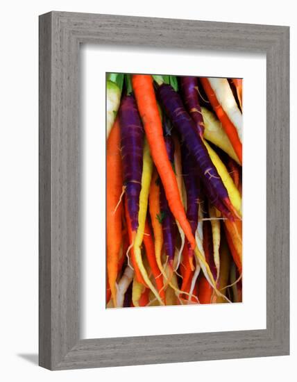 Multi Colored Carrots at a Farmer's Market in Savannah, Georgia, USA-Joanne Wells-Framed Photographic Print