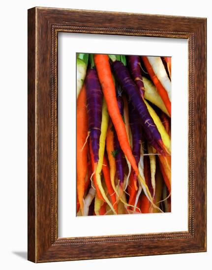 Multi Colored Carrots at a Farmer's Market in Savannah, Georgia, USA-Joanne Wells-Framed Photographic Print