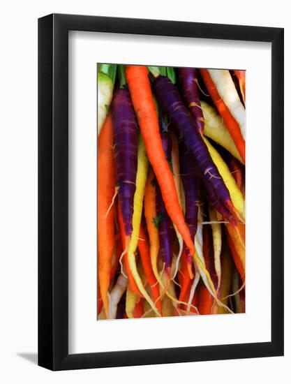 Multi Colored Carrots at a Farmer's Market in Savannah, Georgia, USA-Joanne Wells-Framed Photographic Print