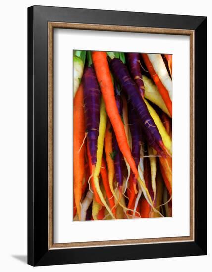 Multi Colored Carrots at a Farmer's Market in Savannah, Georgia, USA-Joanne Wells-Framed Photographic Print