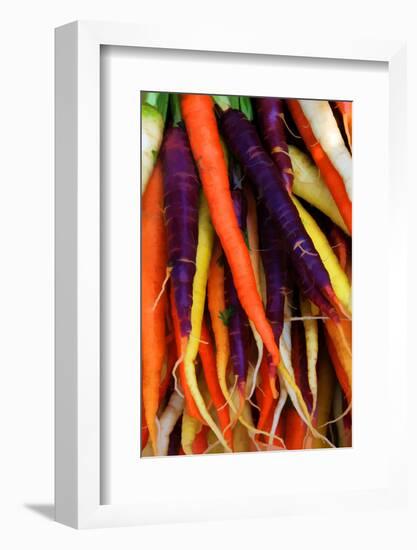 Multi Colored Carrots at a Farmer's Market in Savannah, Georgia, USA-Joanne Wells-Framed Photographic Print