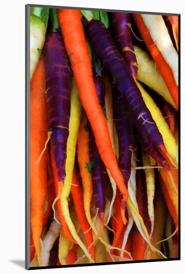 Multi Colored Carrots at a Farmer's Market in Savannah, Georgia, USA-Joanne Wells-Mounted Photographic Print