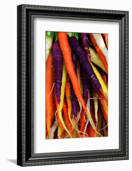 Multi Colored Carrots at a Farmer's Market in Savannah, Georgia, USA-Joanne Wells-Framed Photographic Print