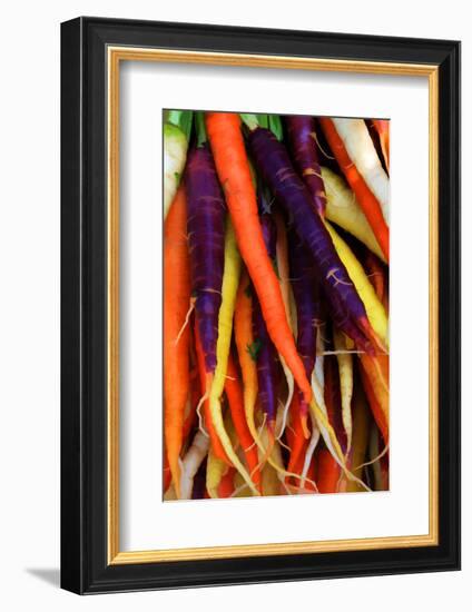 Multi Colored Carrots at a Farmer's Market in Savannah, Georgia, USA-Joanne Wells-Framed Photographic Print