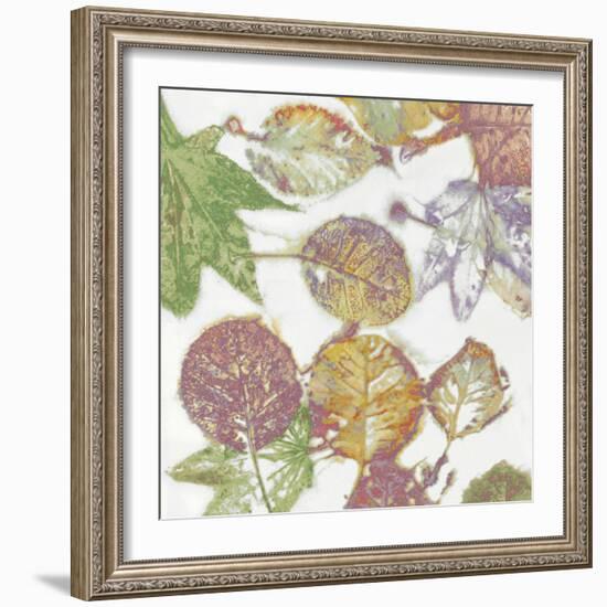 Multi Colored Nature II-Danielle Carson-Framed Art Print