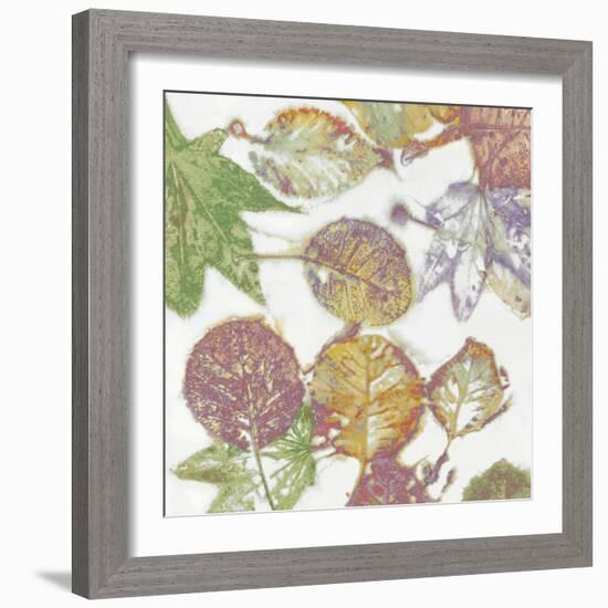 Multi Colored Nature II-Danielle Carson-Framed Art Print