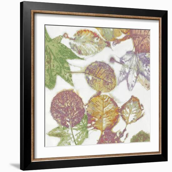 Multi Colored Nature II-Danielle Carson-Framed Art Print