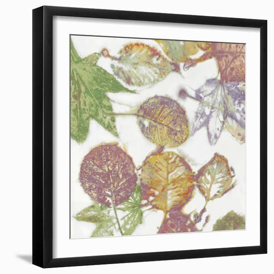 Multi Colored Nature II-Danielle Carson-Framed Art Print