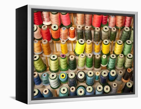 Multi-colored thread in high school sewing class-null-Framed Premier Image Canvas