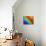 Multi-Coloured-Adrian Campfield-Photographic Print displayed on a wall