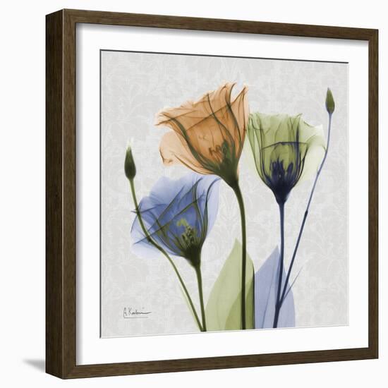 Multi Gentian-Albert Koetsier-Framed Art Print