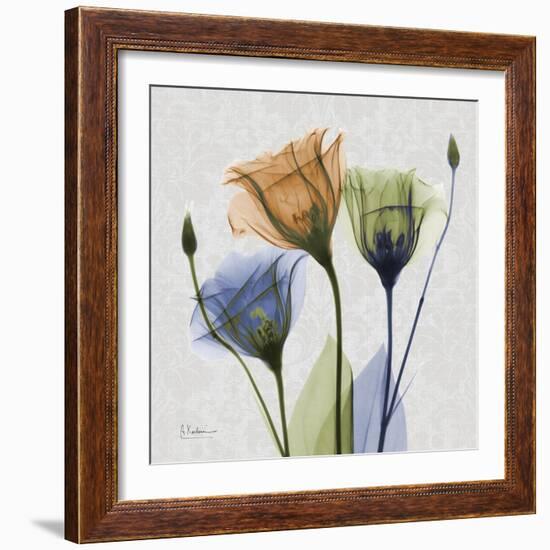 Multi Gentian-Albert Koetsier-Framed Art Print