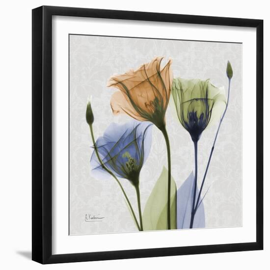 Multi Gentian-Albert Koetsier-Framed Art Print