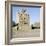 Multi-storeyed house with incised plasterwork and ornate window arches, in a village near San'a-Werner Forman-Framed Giclee Print