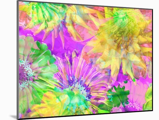 Multicolor Blossom Design from Zinnia, Gerber Daisy and Texture, Photographic Layer Work-Alaya Gadeh-Mounted Photographic Print