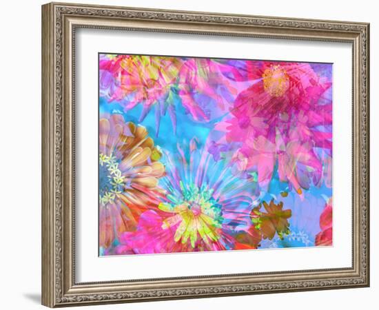 Multicolor Blossom Design from Zinnia, Gerber Daisy and Texture, Photographic Layer Work-Alaya Gadeh-Framed Photographic Print