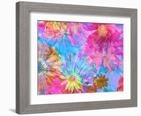 Multicolor Blossom Design from Zinnia, Gerber Daisy and Texture, Photographic Layer Work-Alaya Gadeh-Framed Photographic Print